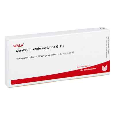Cerebrum Regio Motor Gl D 5 Amp. 10X1 ml od WALA Heilmittel GmbH PZN 03359836