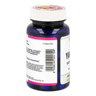 Yamswurzel 500 mg Gph Kapseln zamów na apo-discounter.pl