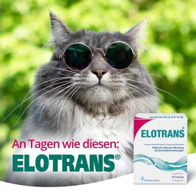 Elotrans Pulver zamów na apo-discounter.pl