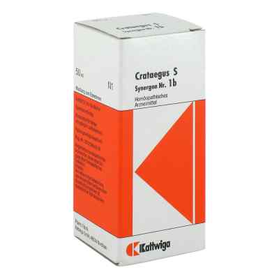 Synergon 1 b Crataegus S Tropfen zamów na apo-discounter.pl