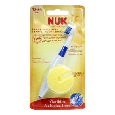 Nuk Lernzahnbuerste Blister zamów na apo-discounter.pl