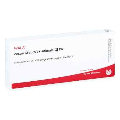 Vespa Crabro Ex Animale Gl D 6 Amp. 10X1 ml od WALA Heilmittel GmbH PZN 03794963