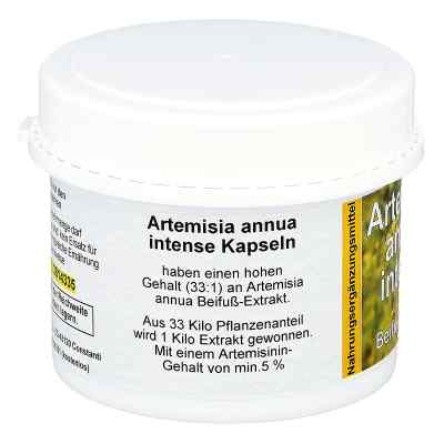 Artemisia Annua Beifuss kapsuki zamów na apo-discounter.pl