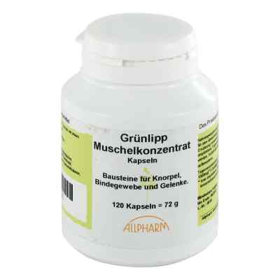 Gruenlipp Muschelkonzentrat 500mg kapsułki zamów na apo-discounter.pl