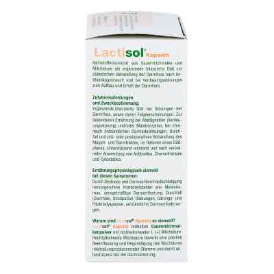 Lactisol Kapseln Lactisol Kapseln