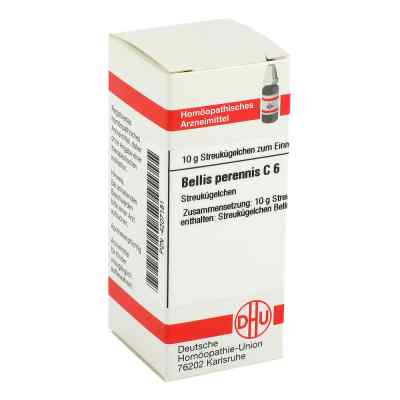Bellis Perennis C 6 Globuli zamów na apo-discounter.pl