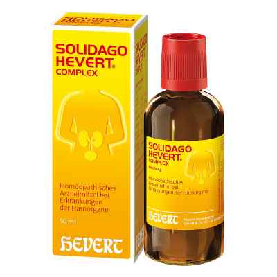 Solidago Hevert Complex Tropfen zamów na apo-discounter.pl