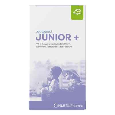 Lactobact Junior proszek zamów na apo-discounter.pl
