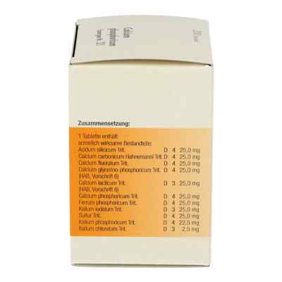 Synergon 21 Calcium phos. Tabl. zamów na apo-discounter.pl
