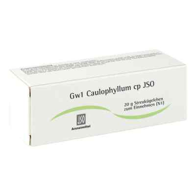 Jso Jkh Gewebemittel Gw 1 Caulophyllum cp Glob. 20 g od ISO-Arzneimittel GmbH & Co. KG PZN 04942727