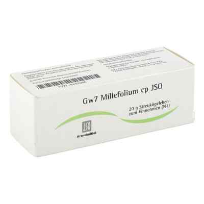 Jso Jkh Gewebemittel Gw 7 Millefolium cp Globuli zamów na apo-discounter.pl