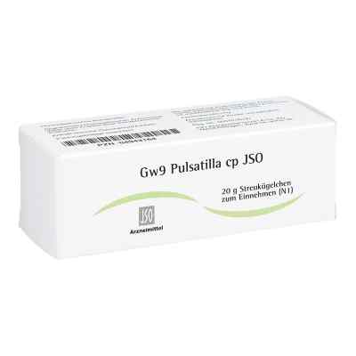 Jso Jkh Gewebemittel Gw 9 Pulsatilla cp Globuli zamów na apo-discounter.pl