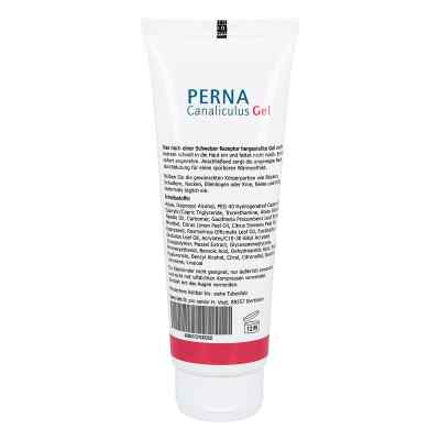 Perna Canaliculus Gel zamów na apo-discounter.pl