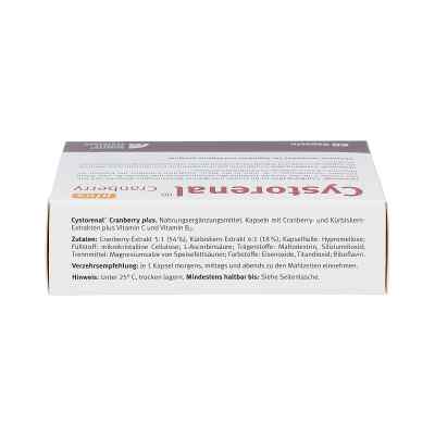 Cystorenal Cranberry plus kapsułki zamów na apo-discounter.pl