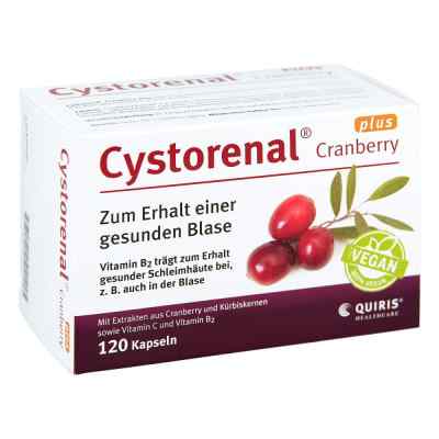 Cystorenal Cranberry plus kapsułki zamów na apo-discounter.pl
