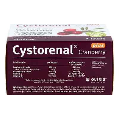 Cystorenal Cranberry plus kapsułki zamów na apo-discounter.pl
