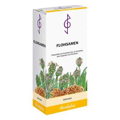Flohsamen Tee 300 g od Bombastus-Werke AG PZN 05466938