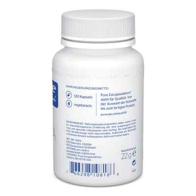 Pure Encapsulations Vitamin D3 1000 I.e. Kapsułki zamów na apo-discounter.pl