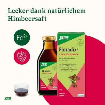 Floradix Eisen für Kinder Tonikum Floradix Eisen für Kinder Tonikum