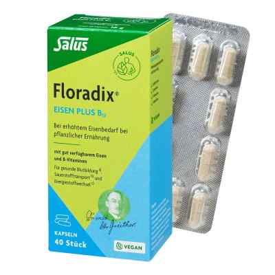 Floradix Żelazo plus witamina B12 kapsułki dla wegan zamów na apo-discounter.pl