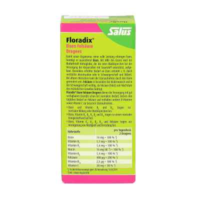 Floradix® Drażetki z kwasem foliowym Floradix® Drażetki z kwasem foliowym