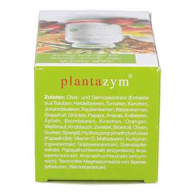 Plantazym Kapseln Plantazym Kapseln