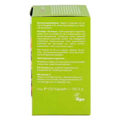 Plantazym Kapseln zamów na apo-discounter.pl