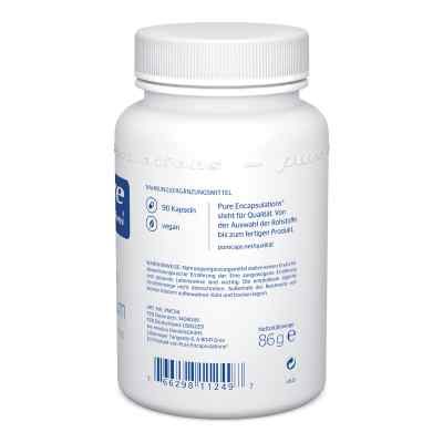 Pure Encapsulations Kalium Magn.citrat Kapseln zamów na apo-discounter.pl