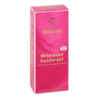 Weleda dezodorant z dziką różą zamów na apo-discounter.pl