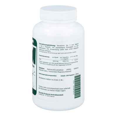 Msm 500 mg Methylsulfonylmethan Kapsułki zamów na apo-discounter.pl