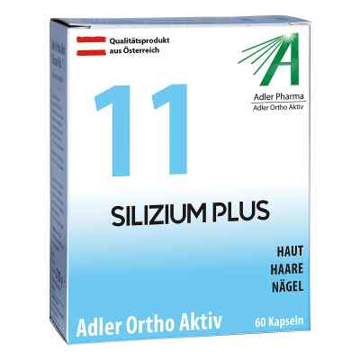 Adler Ortho Aktiv Nr.11 kapsułki zamów na apo-discounter.pl