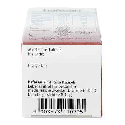 Hafesan Zimt forte Kapseln zamów na apo-discounter.pl