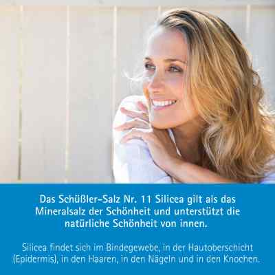Biochemie Pflueger 11 Silicea D 12 Tabl. zamów na apo-discounter.pl