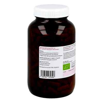 Urovit Bio kapsułki zamów na apo-discounter.pl