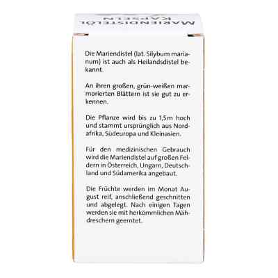 Mariendistel Oel 500 mg kapsułki zamów na apo-discounter.pl