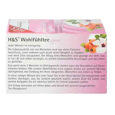 H&s Hagebutte mit Hibiskus Btl. zamów na apo-discounter.pl