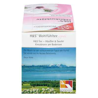 H&S herbata z kwiatu hibiskusa saszetki zamów na apo-discounter.pl