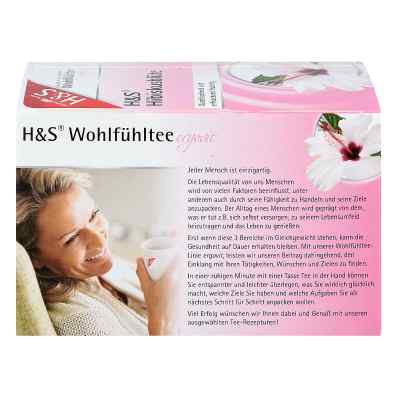 H&S herbata z kwiatu hibiskusa saszetki zamów na apo-discounter.pl