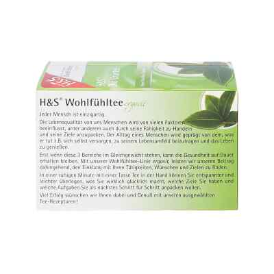 H&s Bio zielona herbata w torebkach zamów na apo-discounter.pl