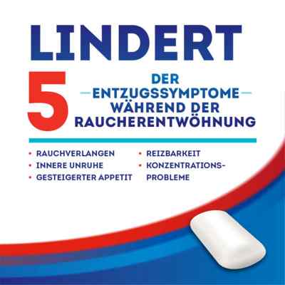 Nicotinell Kaugummi Cool Mint 2 mg zamów na apo-discounter.pl
