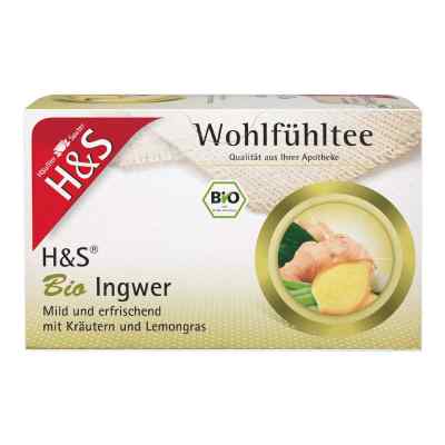 H&S herbata w saszetkach z imbirem 20X2.0 g od H&S Tee - Gesellschaft mbH & Co. PZN 06582405