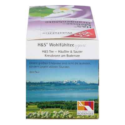 H&S herbata w saszetkach melisa i kwiat pomarańczy zamów na apo-discounter.pl