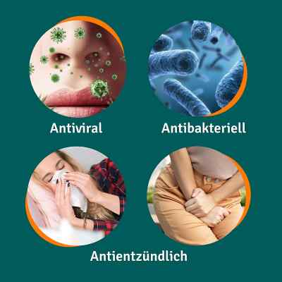 Angocin Anti Infekt N Filmtabl. zamów na apo-discounter.pl