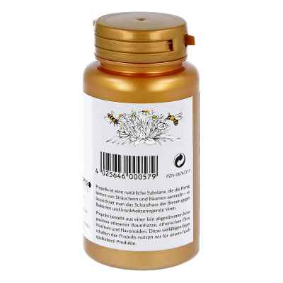 Propolis Vitamin C + Zink Tabletki zamów na apo-discounter.pl