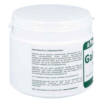Galactose 100% rein Pulver Galactose 100% rein Pulver