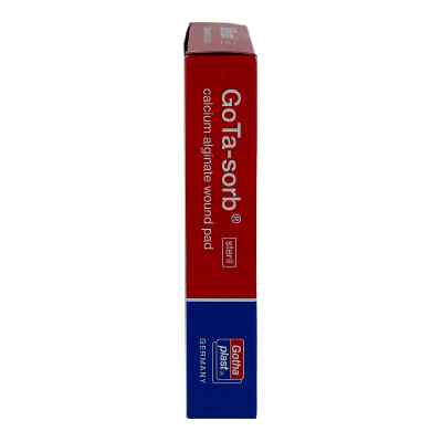 Gota Sorb steril 10x10cm zamów na apo-discounter.pl
