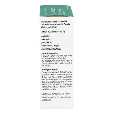 Alsidiabet Cynamon Catechine kapsułki dla diabetyków zamów na apo-discounter.pl