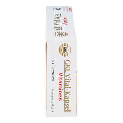 Thymuskin Gkl Amino Vital Kapseln Thymuskin Gkl Amino Vital Kapseln