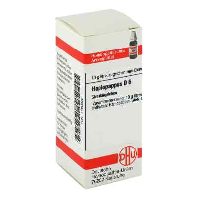 Haplopappus D 6 Globuli zamów na apo-discounter.pl
