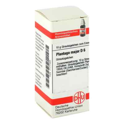 Plantago Major D 6 Globuli zamów na apo-discounter.pl